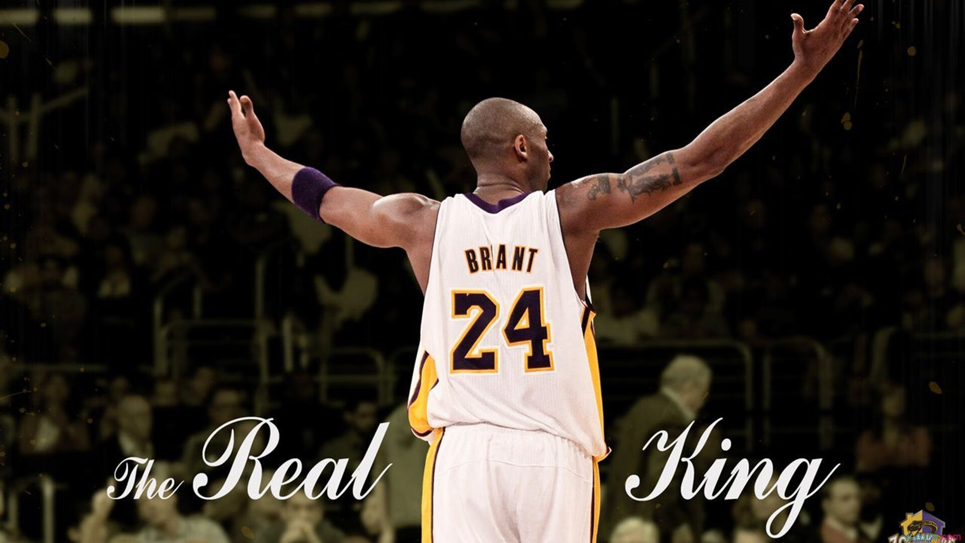 草根战队逆袭夺冠，展示崛起中的电竞新力量，草根队是什么意思